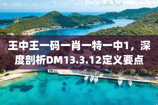 王中王一碼一肖一特一中1，深度剖析DM13.3.12定義要點