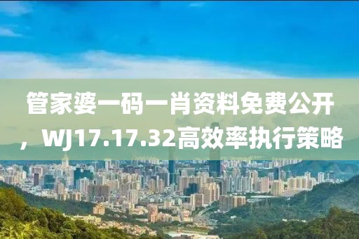 管家婆一碼一肖資料免費公開，WJ17.17.32高效率執(zhí)行策略