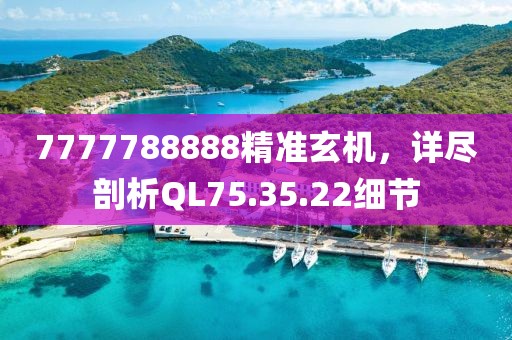 7777788888精準(zhǔn)玄機，詳盡剖析QL75.35.22細(xì)節(jié)