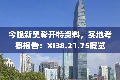 今晚新奧彩開特資料，實(shí)地考察報(bào)告：XI38.21.75概覽