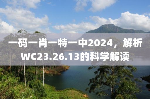 一碼一肖一特一中2024，解析WC23.26.13的科學(xué)解讀