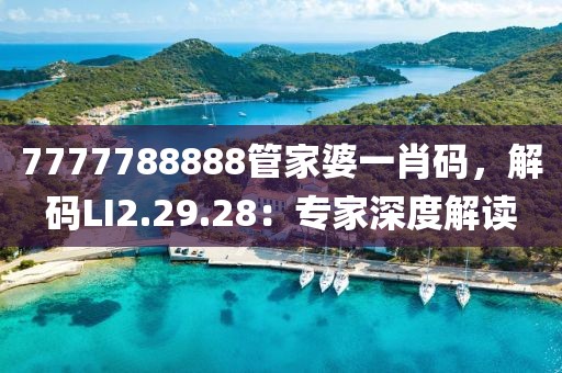 7777788888管家婆一肖碼，解碼LI2.29.28：專家深度解讀