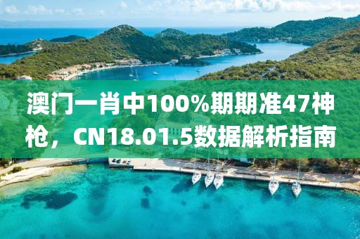澳門一肖中100%期期準47神槍，CN18.01.5數(shù)據(jù)解析指南