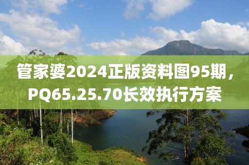 管家婆2024正版資料圖95期，PQ65.25.70長(zhǎng)效執(zhí)行方案