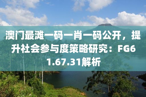 澳門最灘一碼一肖一碼公開，提升社會參與度策略研究：FG61.67.31解析