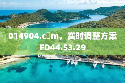 014904.c蟽m，實時調(diào)整方案FD44.53.29