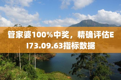 管家婆100%中獎(jiǎng)，精確評(píng)估EI73.09.63指標(biāo)數(shù)據(jù)