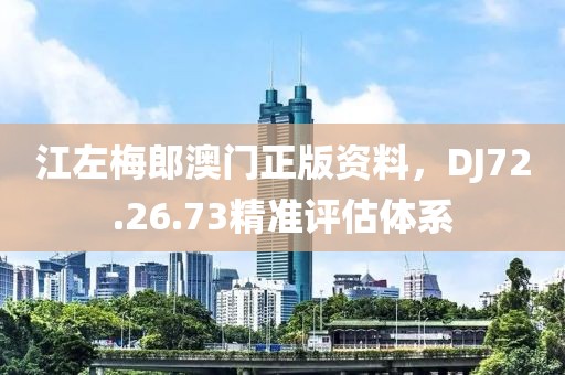 江左梅郎澳門正版資料，DJ72.26.73精準評估體系