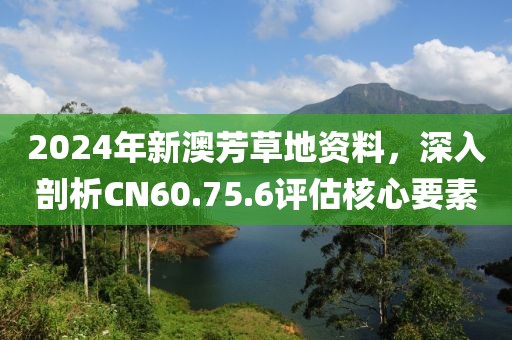 2024年新澳芳草地資料，深入剖析CN60.75.6評(píng)估核心要素