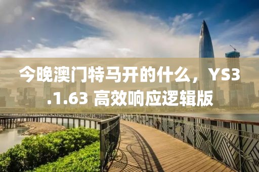 今晚澳門特馬開的什么，YS3.1.63 高效響應(yīng)邏輯版