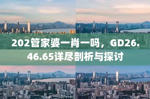 202管家婆一肖一嗎，GD26.46.65詳盡剖析與探討