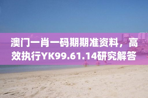 澳門一肖一碼期期準(zhǔn)資料，高效執(zhí)行YK99.61.14研究解答