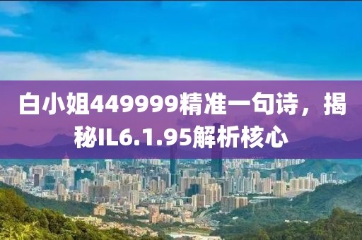 白小姐449999精準(zhǔn)一句詩(shī)，揭秘IL6.1.95解析核心