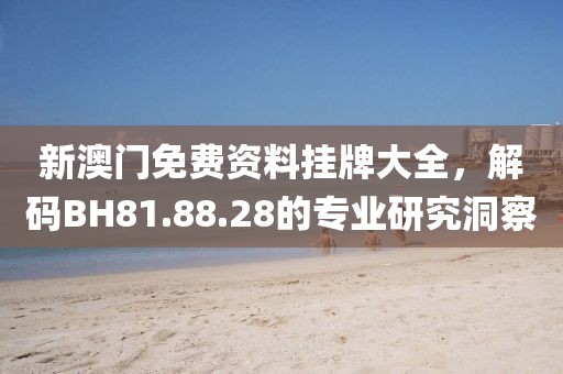 新澳門免費資料掛牌大全，解碼BH81.88.28的專業(yè)研究洞察