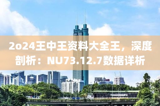 2o24王中王資料大全王，深度剖析：NU73.12.7數(shù)據(jù)詳析