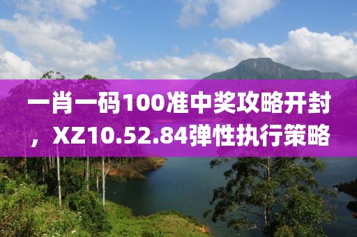 一肖一碼100準(zhǔn)中獎攻略開封，XZ10.52.84彈性執(zhí)行策略