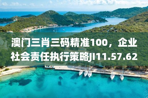 澳門三肖三碼精準100，企業(yè)社會責任執(zhí)行策略JI11.57.62