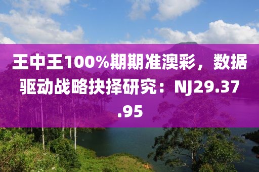 王中王100%期期準澳彩，數(shù)據(jù)驅動戰(zhàn)略抉擇研究：NJ29.37.95