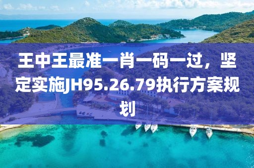 王中王最準(zhǔn)一肖一碼一過(guò)，堅(jiān)定實(shí)施JH95.26.79執(zhí)行方案規(guī)劃