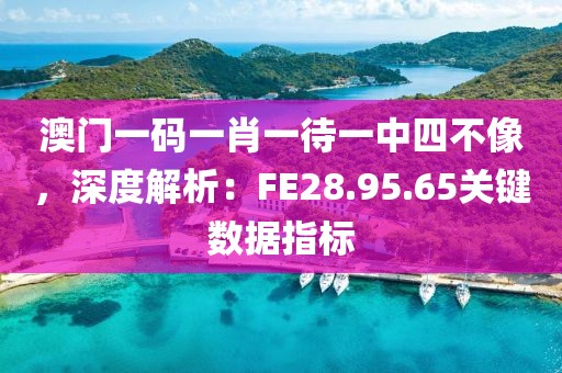 澳門一碼一肖一待一中四不像，深度解析：FE28.95.65關(guān)鍵數(shù)據(jù)指標(biāo)