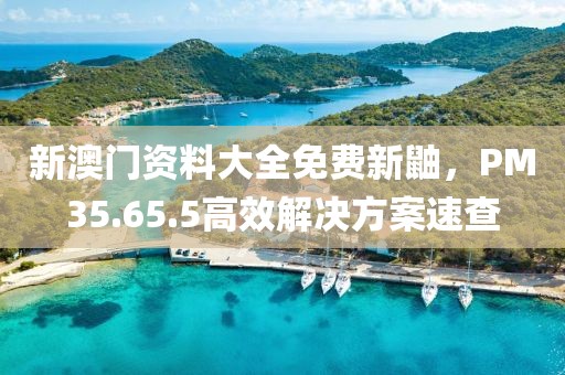 新澳門資料大全免費新鼬，PM35.65.5高效解決方案速查