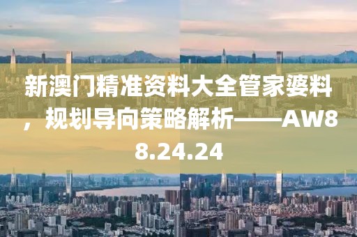 新澳門精準(zhǔn)資料大全管家婆料，規(guī)劃導(dǎo)向策略解析——AW88.24.24