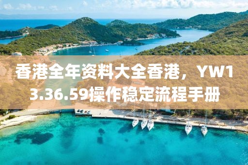 香港全年資料大全香港，YW13.36.59操作穩(wěn)定流程手冊