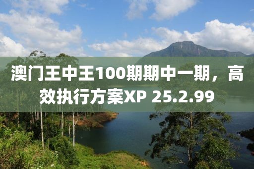 澳門王中王100期期中一期，高效執(zhí)行方案XP 25.2.99
