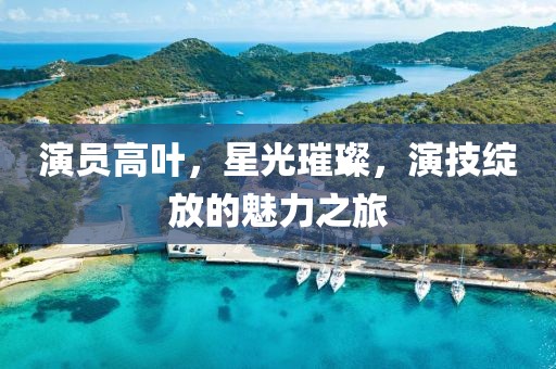 演員高葉，星光璀璨，演技綻放的魅力之旅