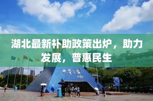湖北最新補(bǔ)助政策出爐，助力發(fā)展，普惠民生