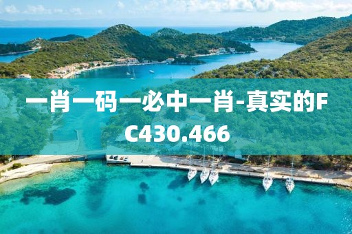 一肖一碼一必中一肖-真實(shí)的FC430.466