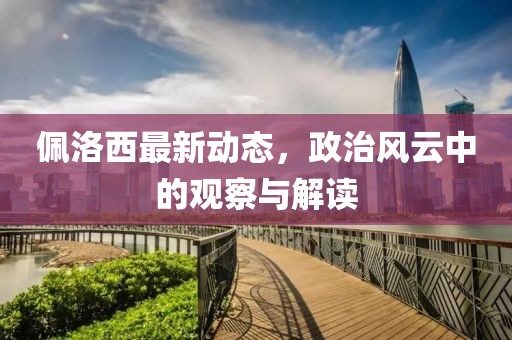 佩洛西最新動態(tài)，政治風(fēng)云中的觀察與解讀