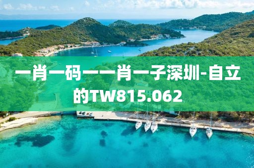 一肖一碼一一肖一子深圳-自立的TW815.062