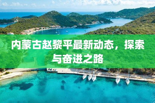 內蒙古趙黎平最新動態(tài)，探索與奮進之路