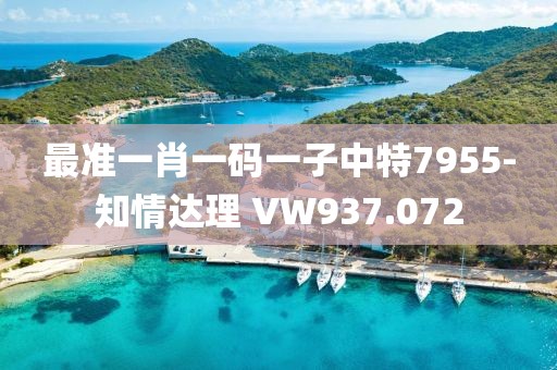 最準(zhǔn)一肖一碼一子中特7955-知情達(dá)理 VW937.072