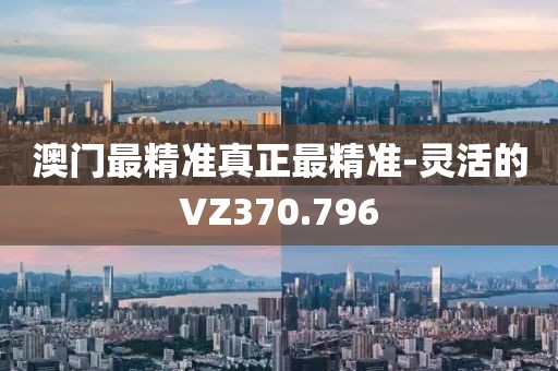 澳門最精準(zhǔn)真正最精準(zhǔn)-靈活的VZ370.796