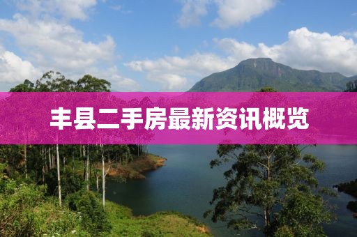 豐縣二手房最新資訊概覽