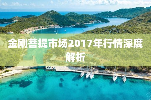 金剛菩提市場2017年行情深度解析