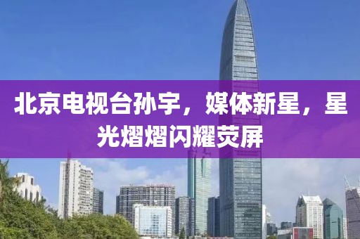 北京電視臺孫宇，媒體新星，星光熠熠閃耀熒屏