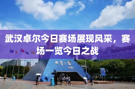 武漢卓爾今日賽場(chǎng)展現(xiàn)風(fēng)采，賽場(chǎng)一覽今日之戰(zhàn)