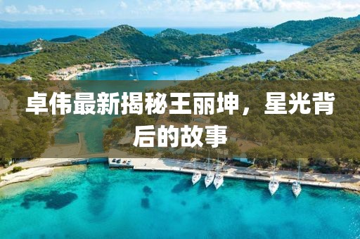 卓偉最新揭秘王麗坤，星光背后的故事