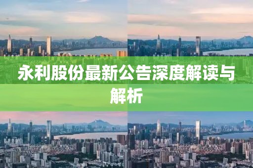 永利股份最新公告深度解讀與解析