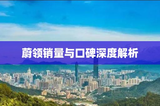 蔚領(lǐng)銷量與口碑深度解析