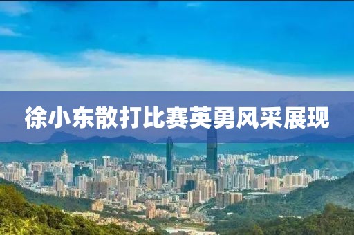 徐小東散打比賽英勇風(fēng)采展現(xiàn)
