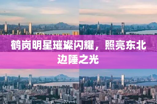 鶴崗明星璀璨閃耀，照亮東北邊陲之光