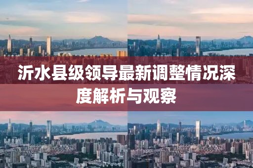沂水縣級領(lǐng)導(dǎo)最新調(diào)整情況深度解析與觀察