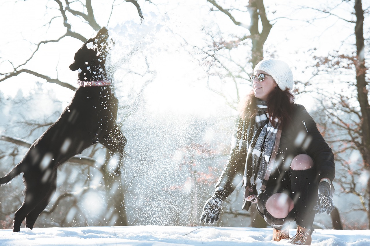雪花電視劇，穿越寒冬的感人敘事