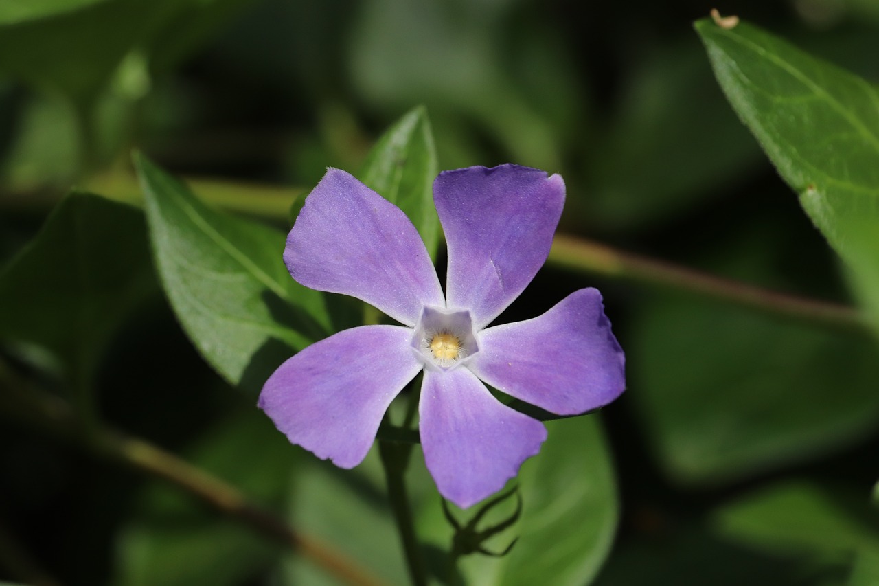 安陽(yáng)錦江花園三期最新資訊動(dòng)態(tài)