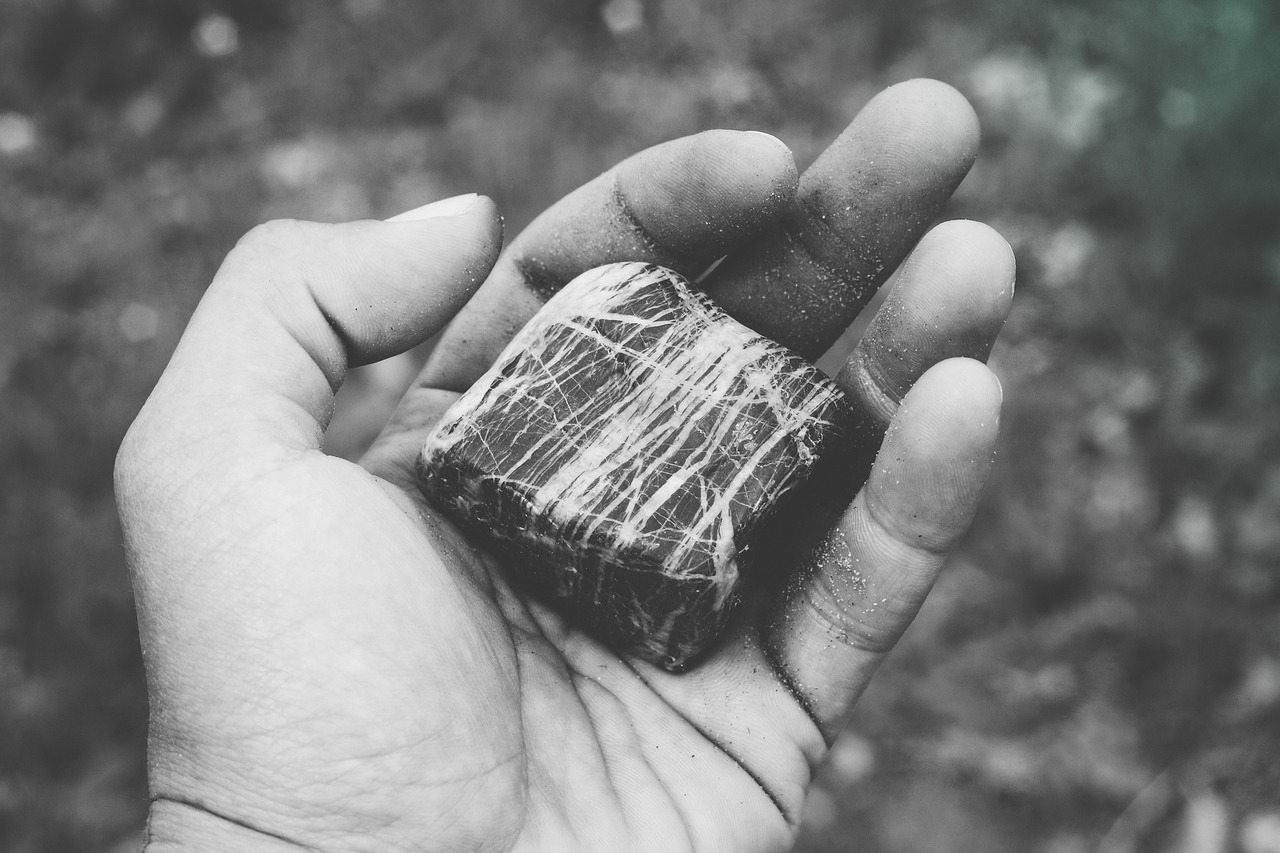 塵螨過敏治療新策略，突破傳統(tǒng)局限，探索未來治療路徑