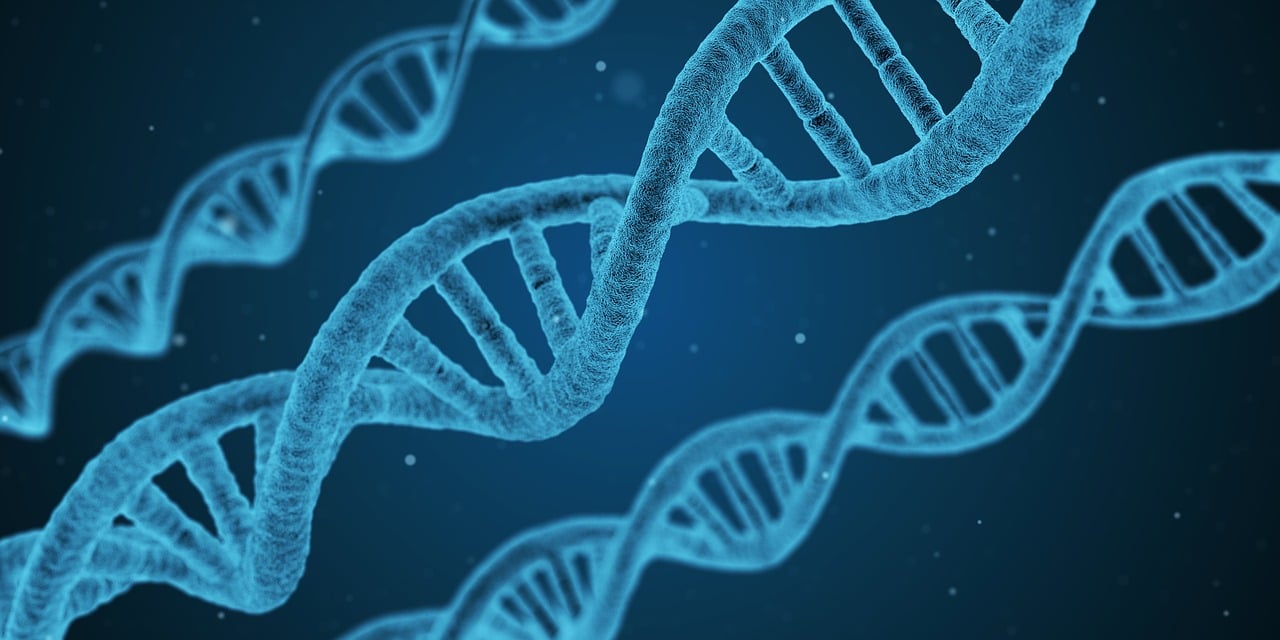 014940cσm查詢,澳彩資料，生物醫(yī)學工程研究論文QZ59-98-17